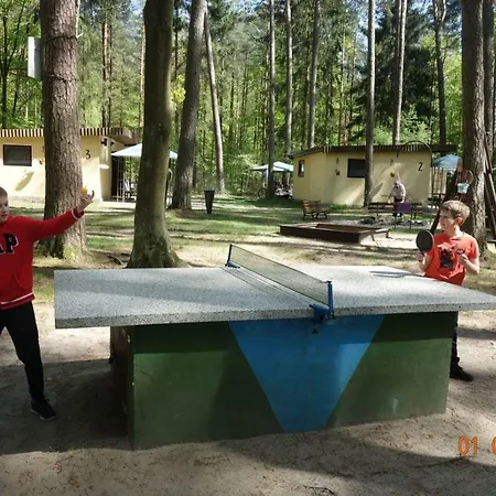 Letniskowe Biedronka Makowo